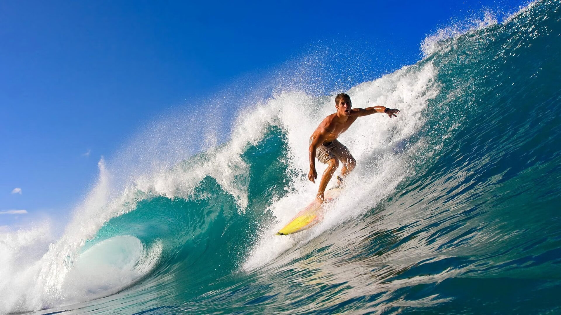 中国游泳队备战巴黎奥运会 新星崛起老将坚守