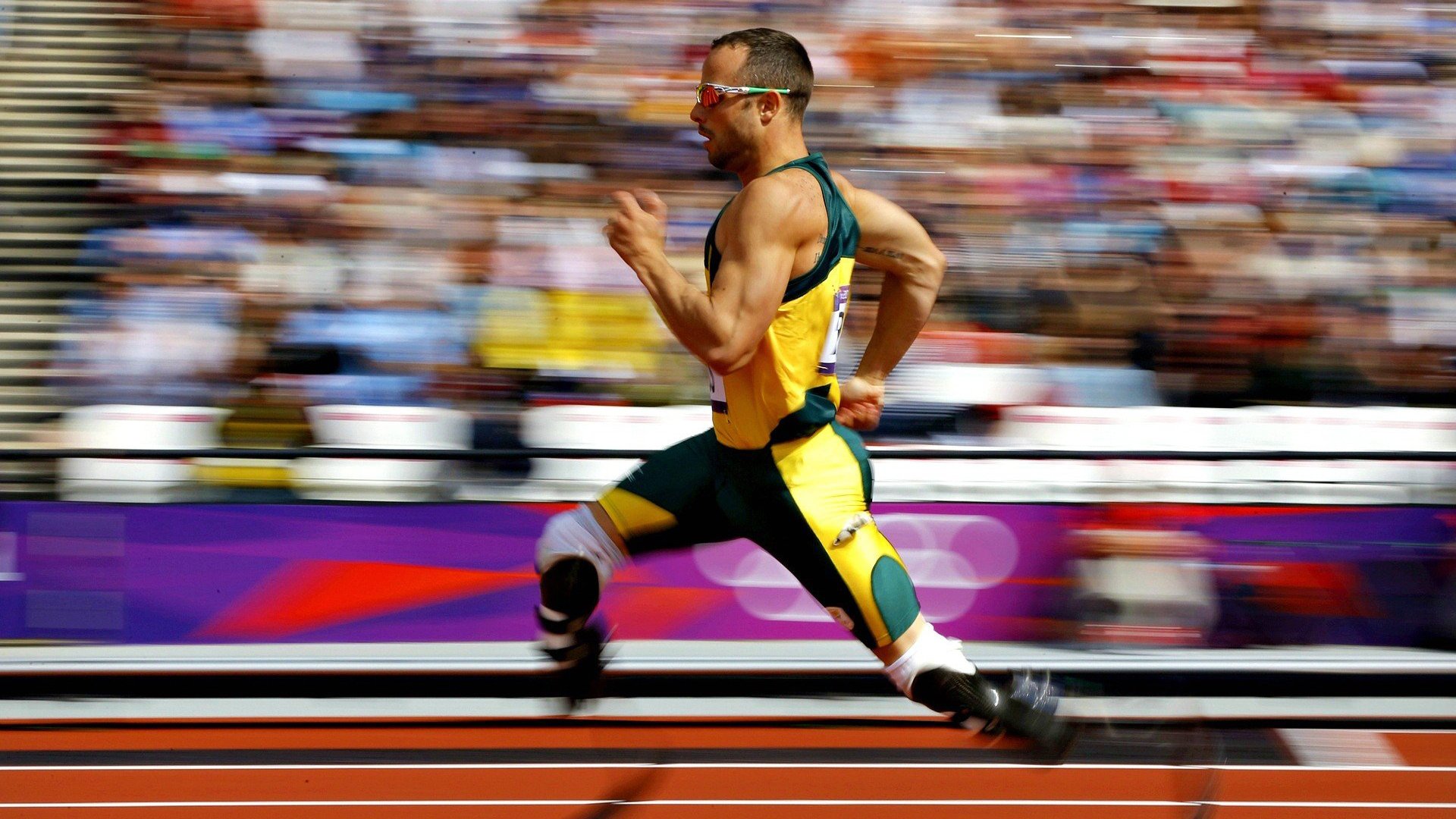 中国速度滑冰队世锦赛再创佳绩 小将张磊破纪录夺金